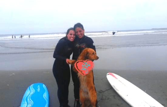 DOGSURF